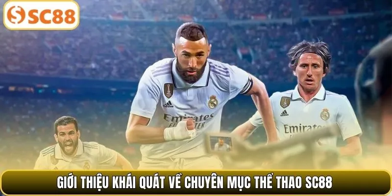 Giới thiệu khái quát về chuyên mục thể thao SC88